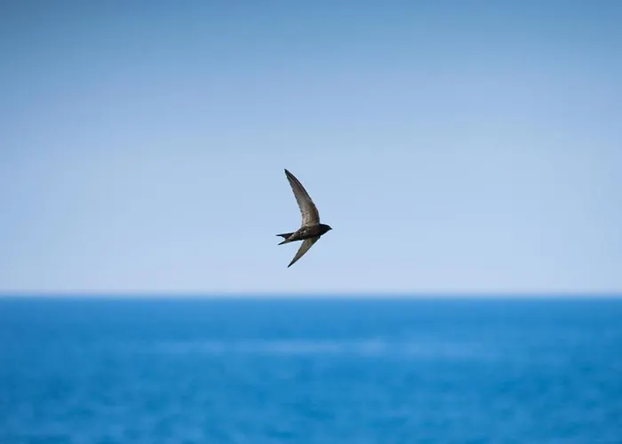 La Casa Isabella Apartamento Rovinj