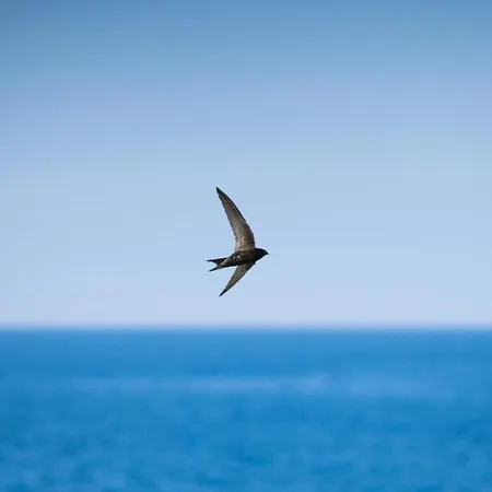 La Casa Isabella Apartment Rovinj