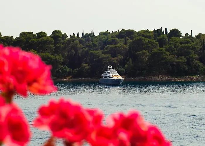 Διαμέρισμα La Casa Isabella Ρόβινι